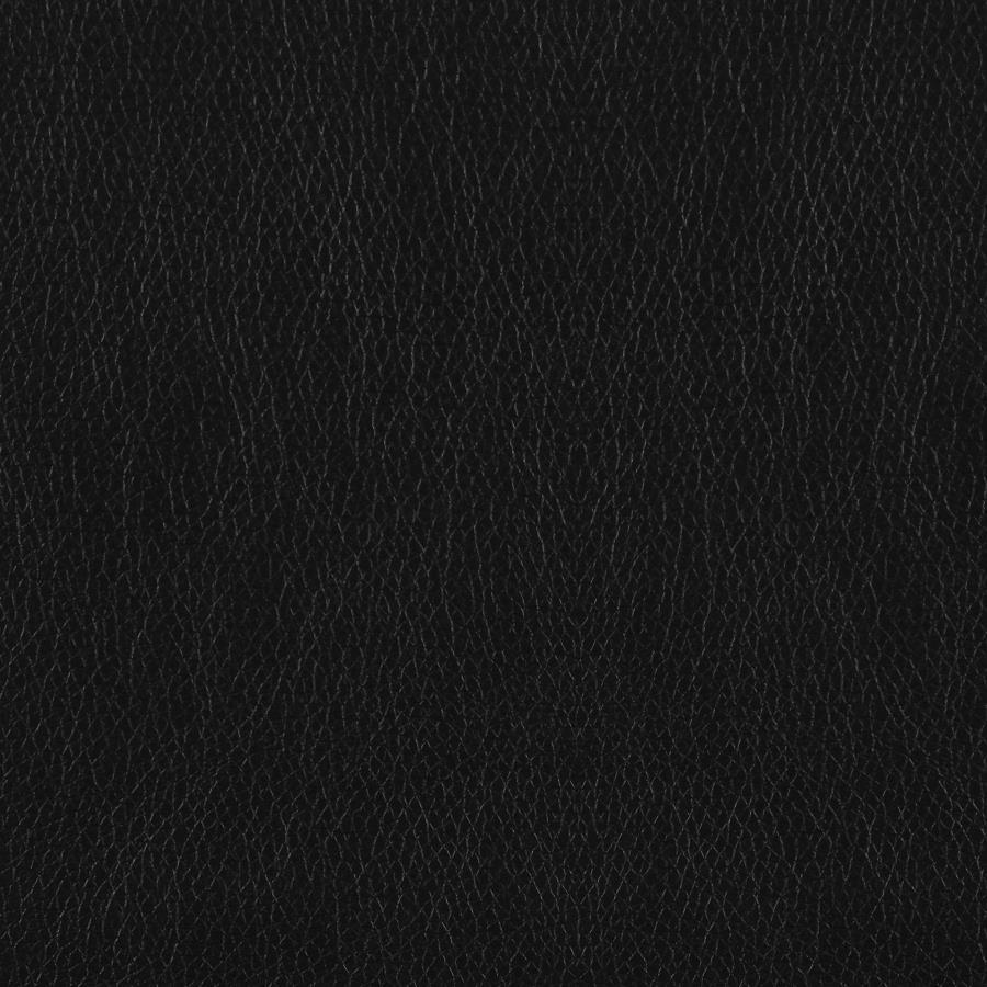 8566BLK-2PC Ensemble de 2 canapés en cuir noir Lewes Mid-Century Modern