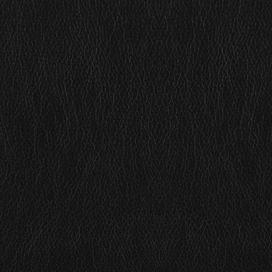 8566BLK-2PC Ensemble de 2 canapés en cuir noir Lewes Mid-Century Modern